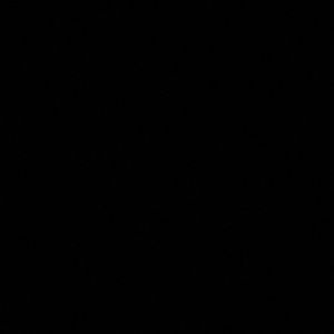 Meet your Posher, Musa